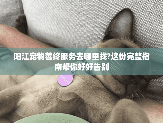 阳江宠物善终服务去哪里找?这份完整指南帮你好好告别