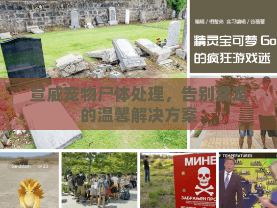 宣威宠物尸体处理，告别爱宠的温馨解决方案