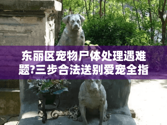 东丽区宠物尸体处理遇难题?三步合法送别爱宠全指南