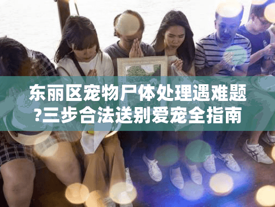 东丽区宠物尸体处理遇难题?三步合法送别爱宠全指南