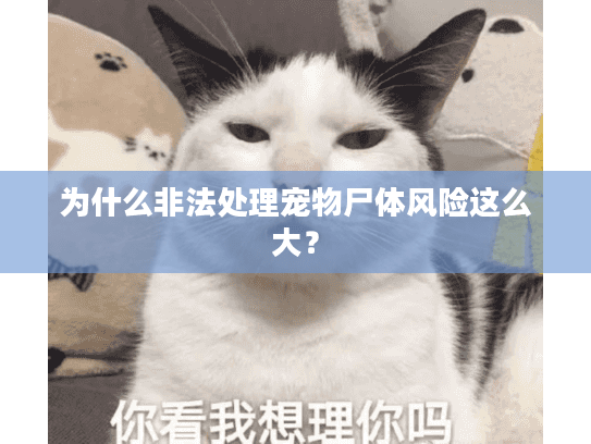 为什么非法处理宠物尸体风险这么大？