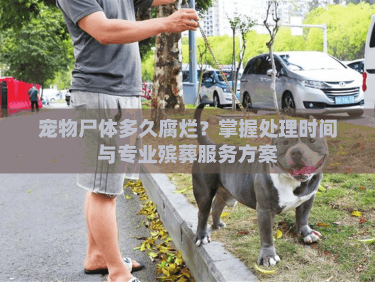 宠物尸体多久腐烂？掌握处理时间与专业殡葬服务方案