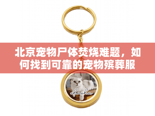 北京宠物尸体焚烧难题，如何找到可靠的宠物殡葬服务？