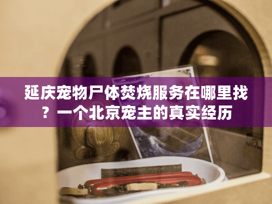 延庆宠物尸体焚烧服务在哪里找？一个北京宠主的真实经历