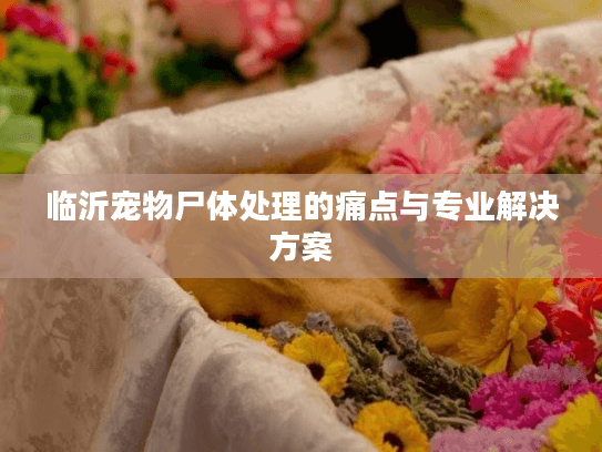 临沂宠物尸体处理的痛点与专业解决方案