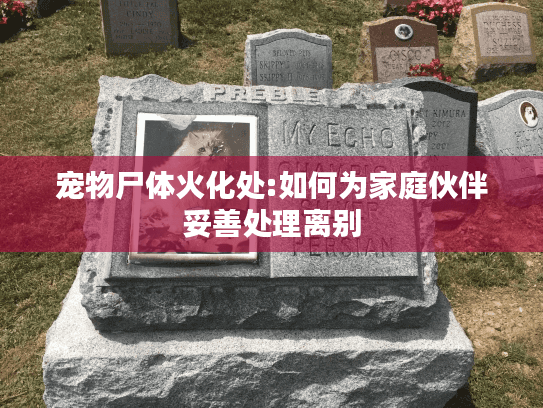 宠物尸体火化处:如何为家庭伙伴妥善处理离别