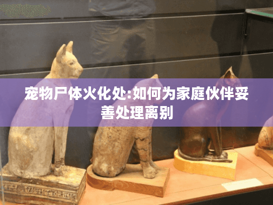 宠物尸体火化处:如何为家庭伙伴妥善处理离别