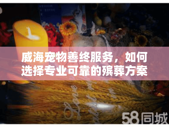 威海宠物善终服务，如何选择专业可靠的殡葬方案?