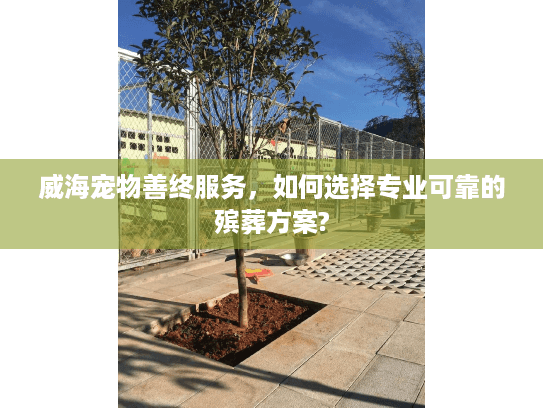 威海宠物善终服务，如何选择专业可靠的殡葬方案?