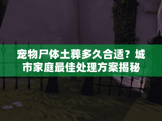宠物尸体土葬多久合适？城市家庭最佳处理方案揭秘