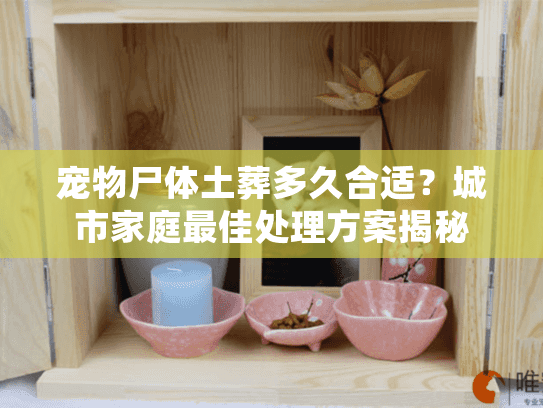 宠物尸体土葬多久合适？城市家庭最佳处理方案揭秘
