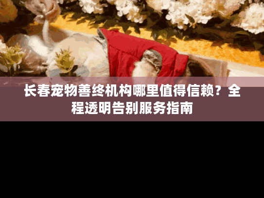 长春宠物善终机构哪里值得信赖？全程透明告别服务指南