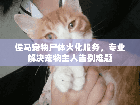 侯马宠物尸体火化服务，专业解决宠物主人告别难题