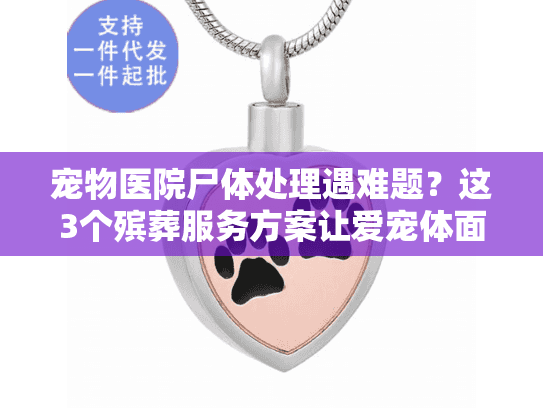 宠物医院尸体处理遇难题？这3个殡葬服务方案让爱宠体面告别
