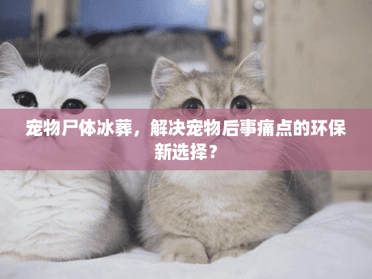 宠物尸体冰葬，解决宠物后事痛点的环保新选择？