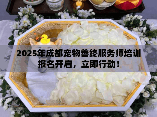 2025年成都宠物善终服务师培训报名开启，立即行动！