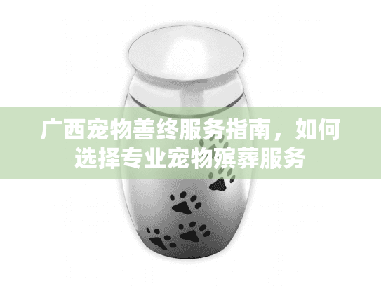 广西宠物善终服务指南，如何选择专业宠物殡葬服务