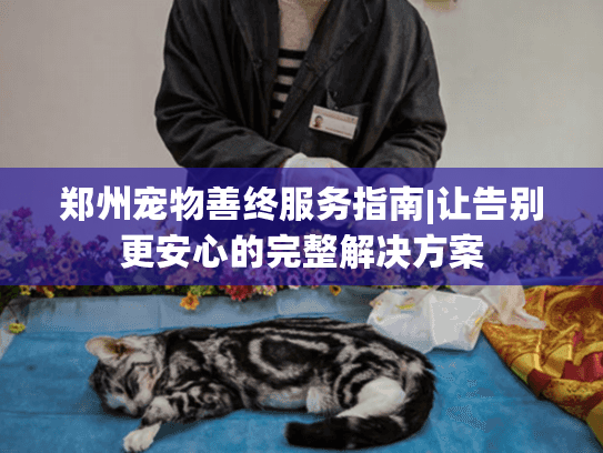 郑州宠物善终服务指南|让告别更安心的完整解决方案