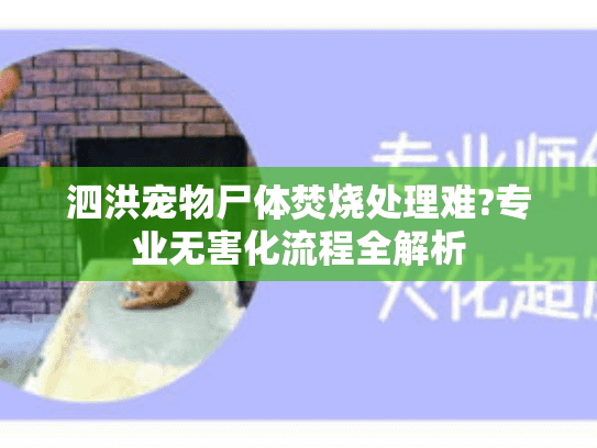 泗洪宠物尸体焚烧处理难?专业无害化流程全解析