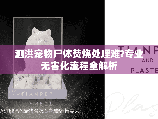 泗洪宠物尸体焚烧处理难?专业无害化流程全解析