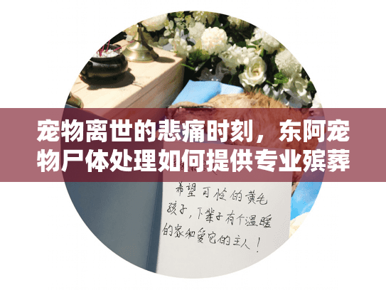 宠物离世的悲痛时刻，东阿宠物尸体处理如何提供专业殡葬服务？