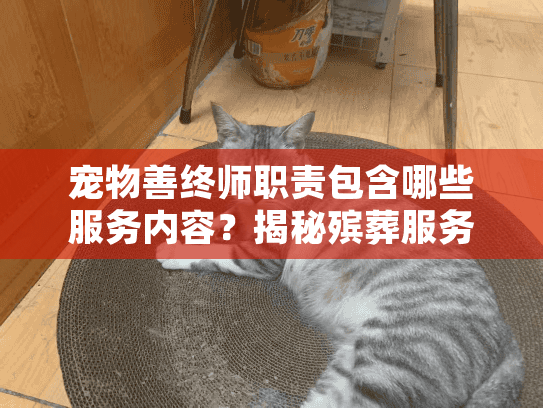 宠物善终师职责包含哪些服务内容？揭秘殡葬服务全流程细节