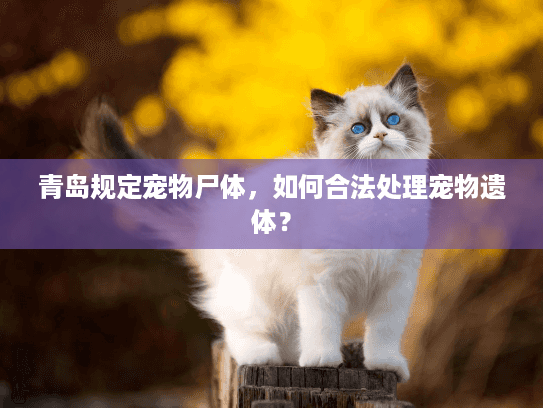青岛规定宠物尸体，如何合法处理宠物遗体？