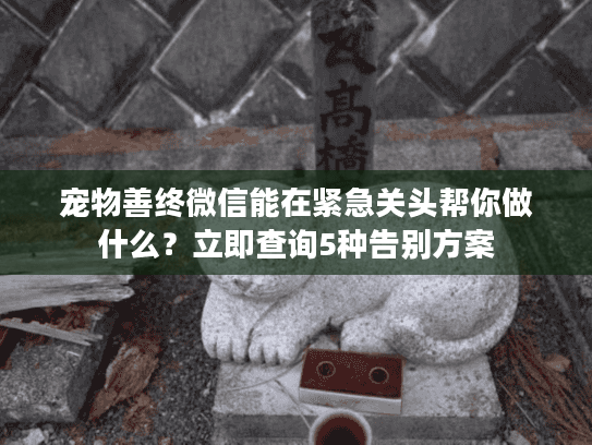 宠物善终微信能在紧急关头帮你做什么？立即查询5种告别方案