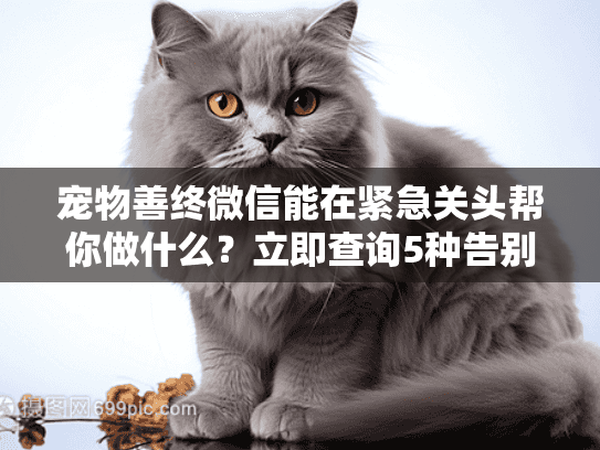 宠物善终微信能在紧急关头帮你做什么？立即查询5种告别方案