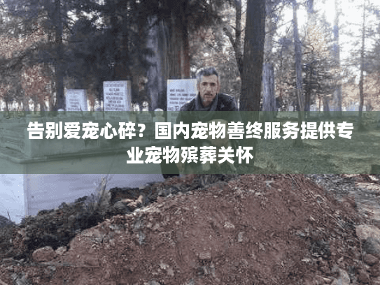 告别爱宠心碎？国内宠物善终服务提供专业宠物殡葬关怀