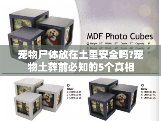 宠物尸体放在土里安全吗?宠物土葬前必知的5个真相 宠物尸体放在土里安全吗?宠物土葬前必知的5个真相