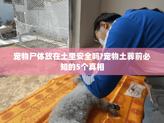 宠物尸体放在土里安全吗?宠物土葬前必知的5个真相 宠物尸体放在土里安全吗?宠物土葬前必知的5个真相