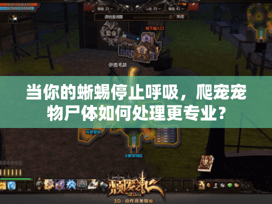 当你的蜥蜴停止呼吸，爬宠宠物尸体如何处理更专业？