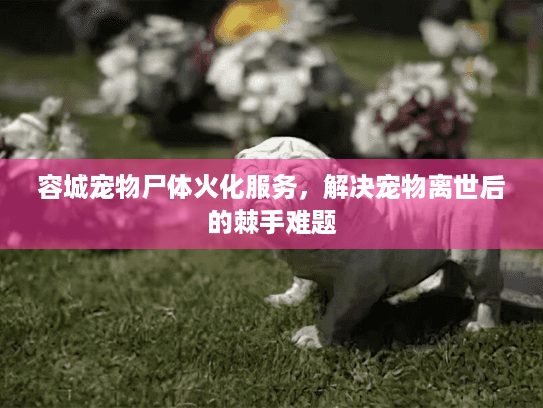 容城宠物尸体火化服务，解决宠物离世后的棘手难题