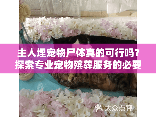 主人埋宠物尸体真的可行吗？探索专业宠物殡葬服务的必要性