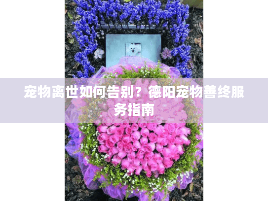 宠物离世如何告别？德阳宠物善终服务指南