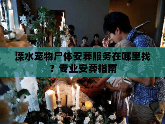 溧水宠物尸体安葬服务在哪里找？专业安葬指南