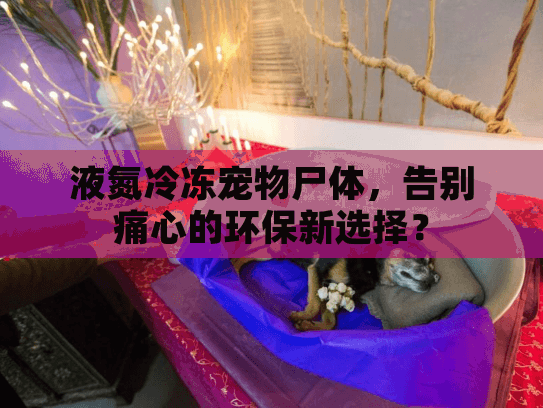 液氮冷冻宠物尸体，告别痛心的环保新选择？