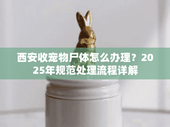 西安收宠物尸体怎么办理？2025年规范处理流程详解