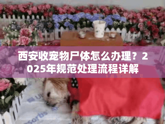 西安收宠物尸体怎么办理？2025年规范处理流程详解