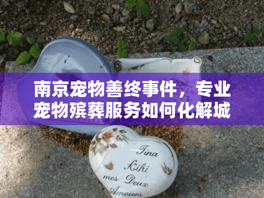 南京宠物善终事件，专业宠物殡葬服务如何化解城市主人痛点？