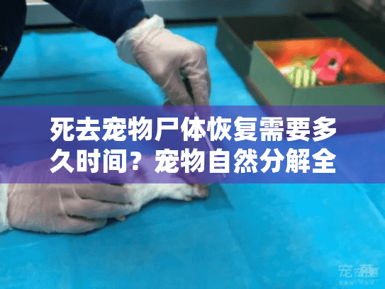 死去宠物尸体恢复需要多久时间?宠物自然分解全过程解读 死去宠物尸体恢复需要多久时间?宠物自然分解全过程解读