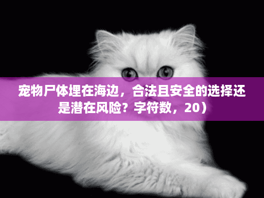 宠物尸体埋在海边，合法且安全的选择还是潜在风险？字符数，20）