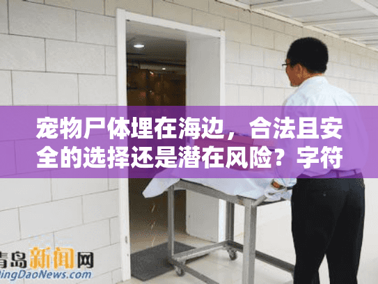 宠物尸体埋在海边，合法且安全的选择还是潜在风险？字符数，20）