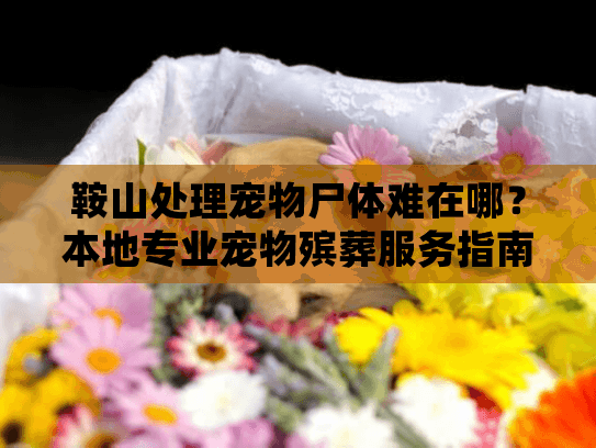 鞍山处理宠物尸体难在哪？本地专业宠物殡葬服务指南
