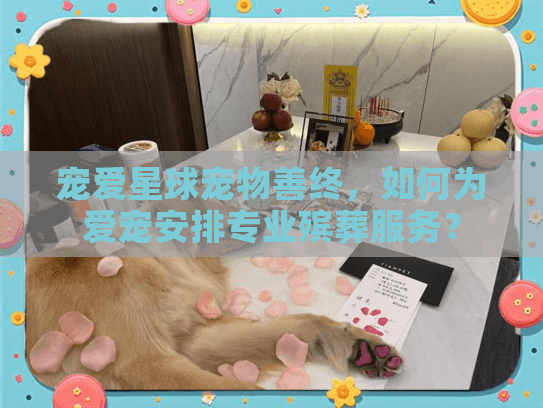 宠爱星球宠物善终，如何为爱宠安排专业殡葬服务？