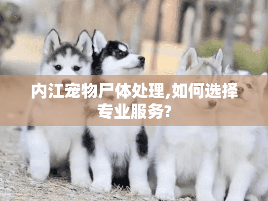 内江宠物尸体处理,如何选择专业服务?