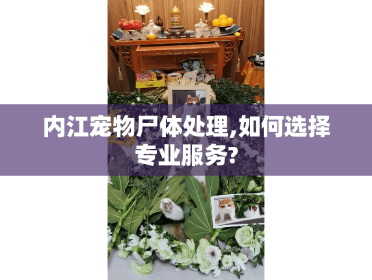 内江宠物尸体处理,如何选择专业服务?