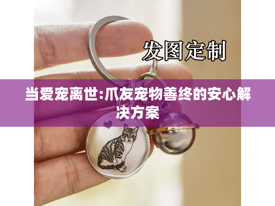当爱宠离世:爪友宠物善终的安心解决方案