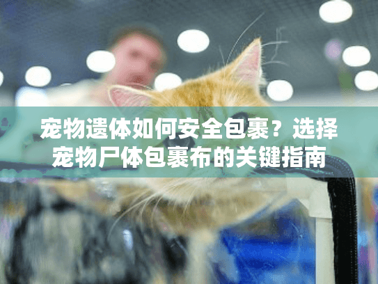 宠物遗体如何安全包裹？选择宠物尸体包裹布的关键指南